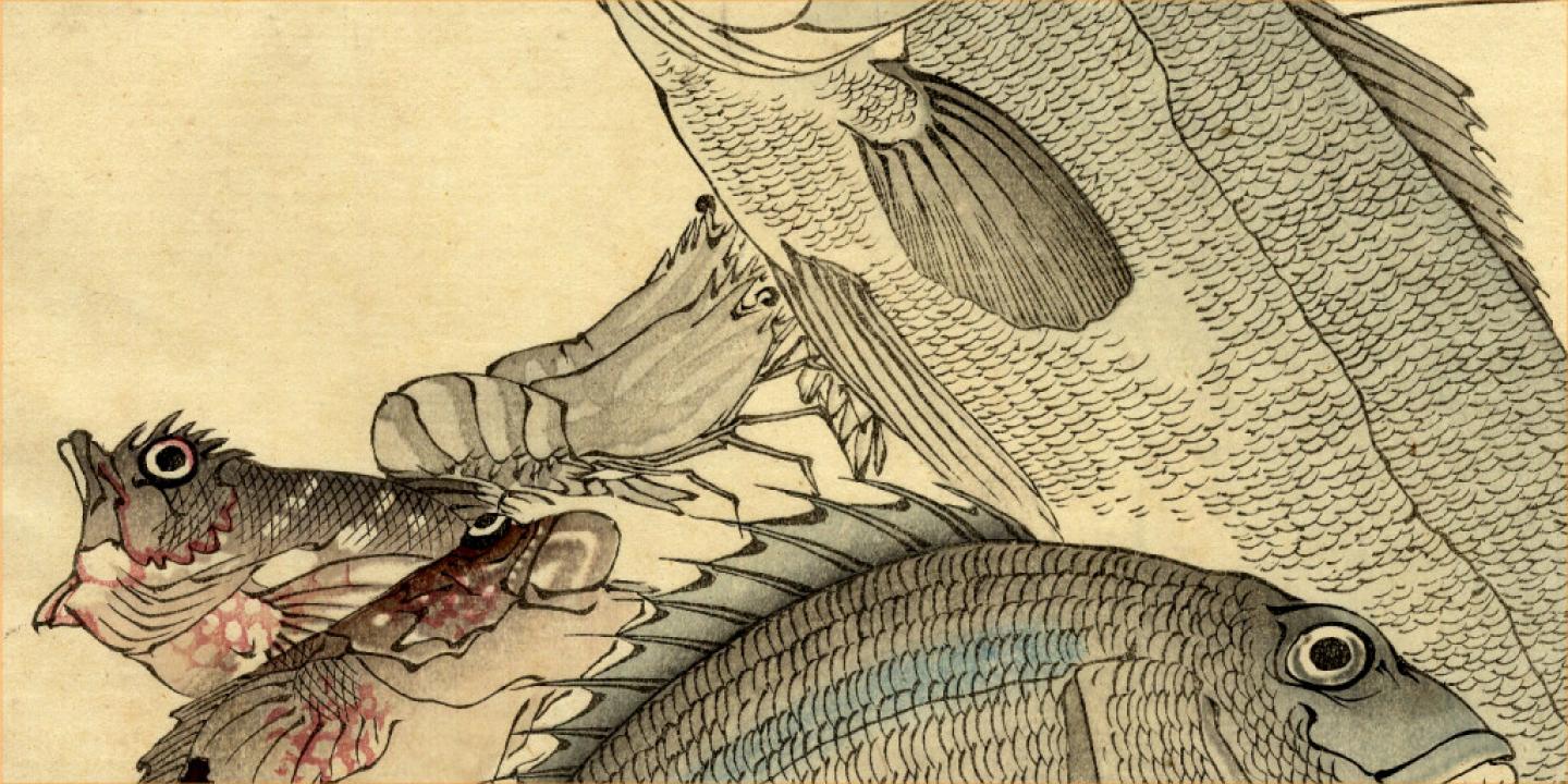 Kavanabe Kjōsai (河鍋暁斎, 1831&ndash;1889). Zivis. Fragments. Japāna, 19. gs. Papīrs, krāsains kokgriezums. LNMM kolekcija. Publicitātes attēls
