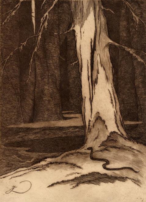 Rihards Zariņ&scaron; (1869&ndash;1939). Nokaltu&scaron;ie koki. 1930&ndash;1939. Papīrs, oforts. LNMM kolekcija. Publicitātes foto